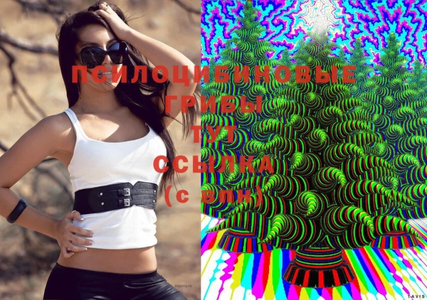 герыч Абаза
